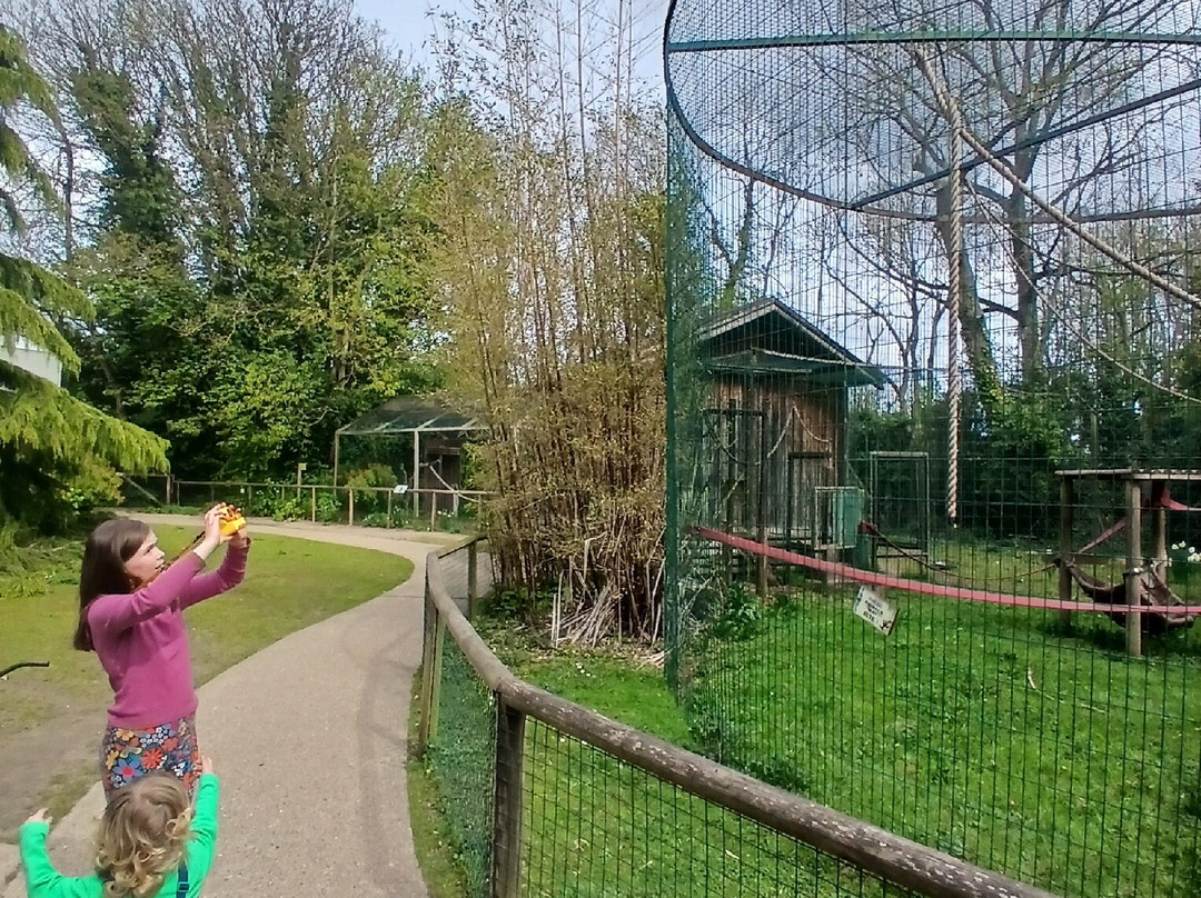Amazona Zoo-克罗默必去景点
