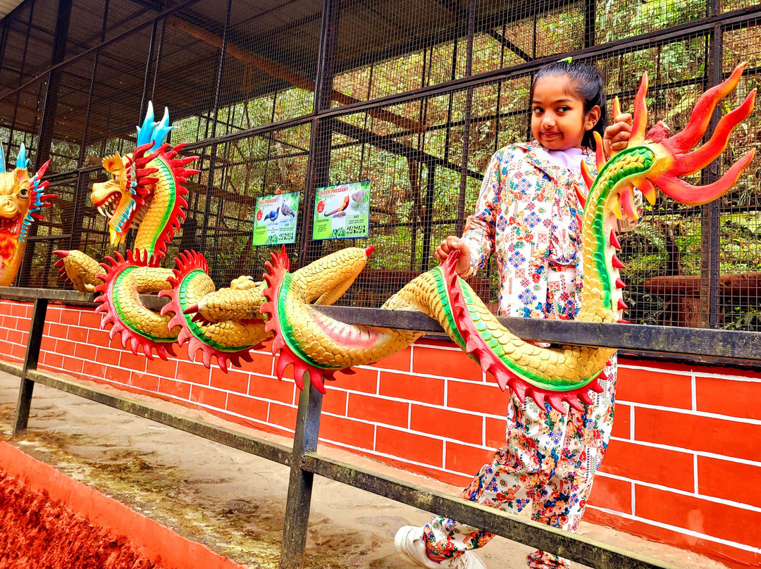 Sidkeong Tuluk Bird Park-West Sikkim必去景点