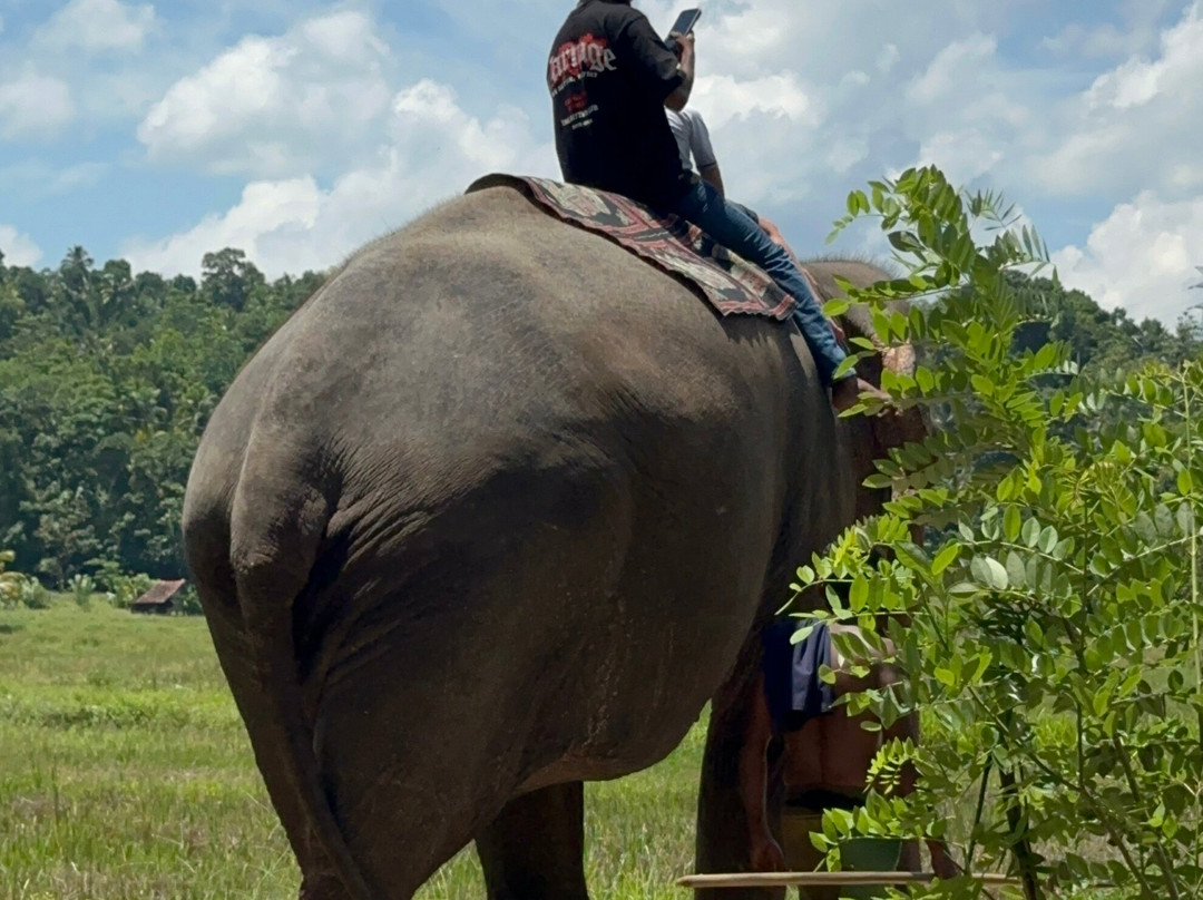 Riu Manga Tours-亚洪加拉必去景点