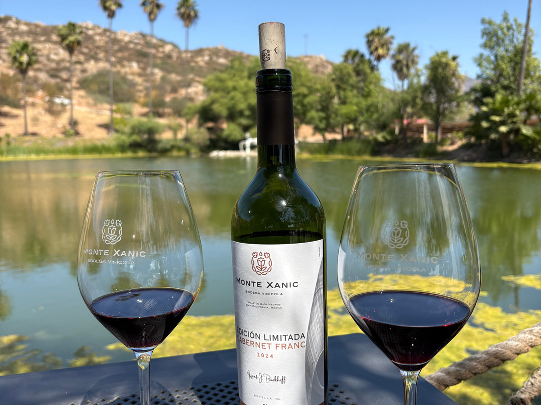 Monte Xanic Bodega Vinícola-Valle de Guadalupe必去景点
