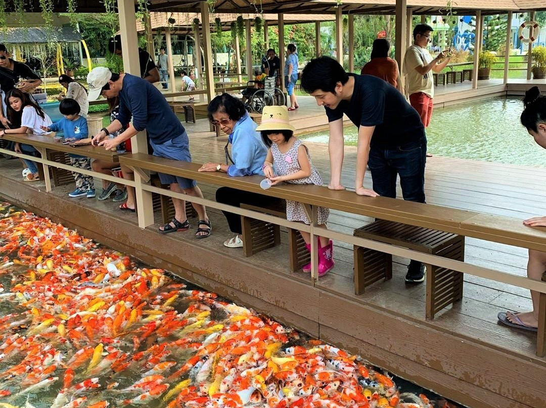 Veneto-愿拼县必去景点