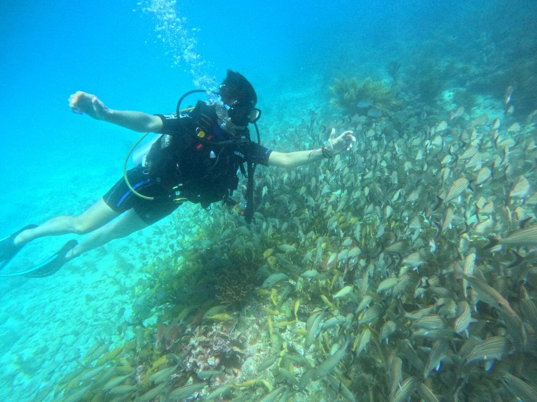 Anda Di Wata Dive School-Providencia Island必去景点