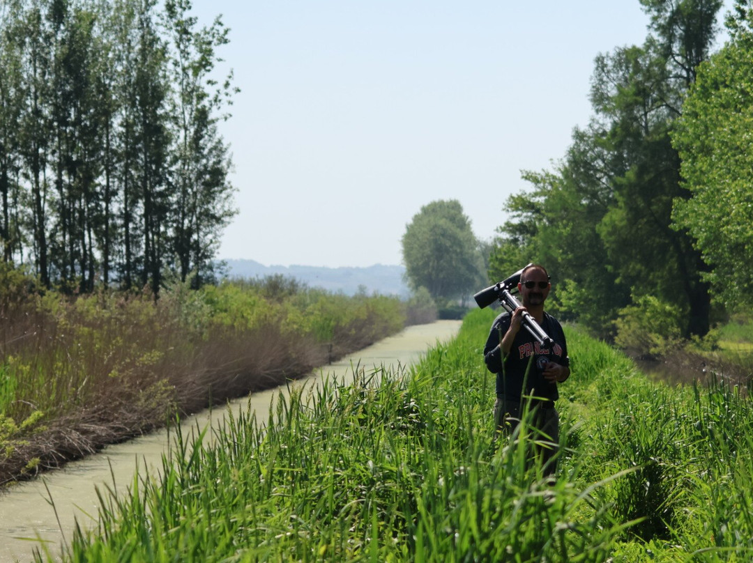 Birding In Italy-Capolona必去景点