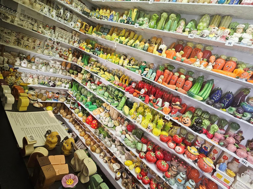 Salt And Pepper Shaker Museum-盖林柏格必去景点