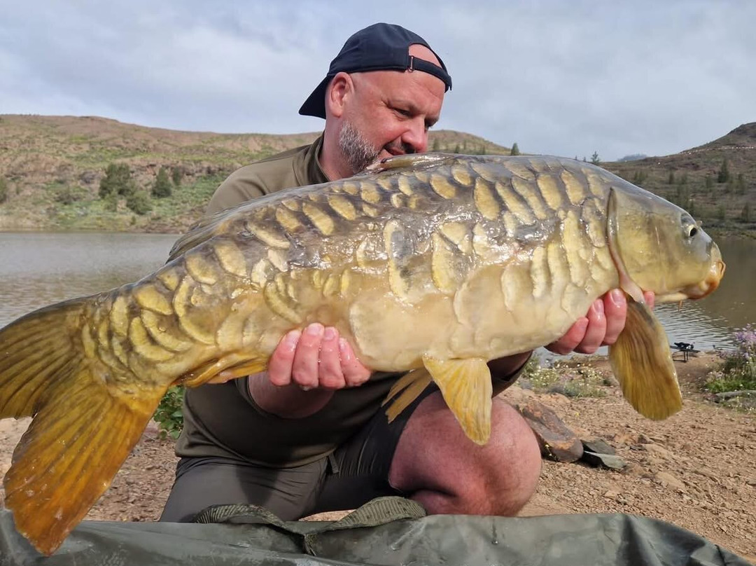 Carp Gran Canaria-San Bartolome de Tirajana必去景点