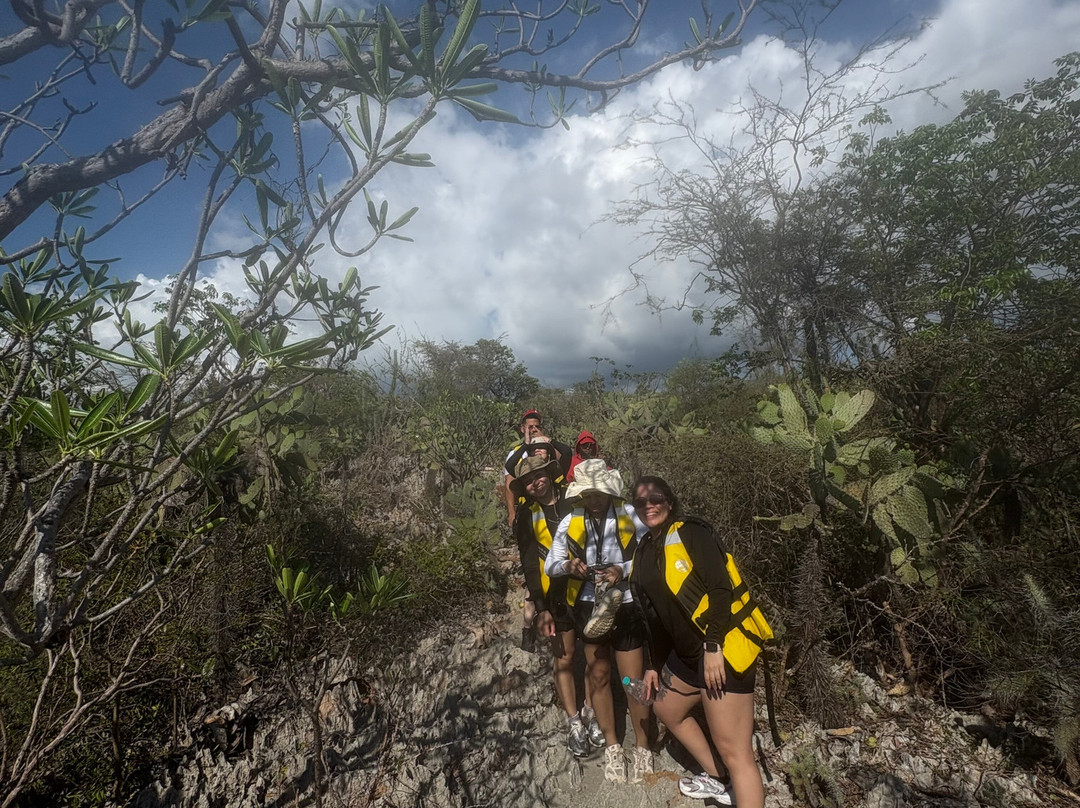 JaraHucos Tours Pedernales-Pedernales必去景点