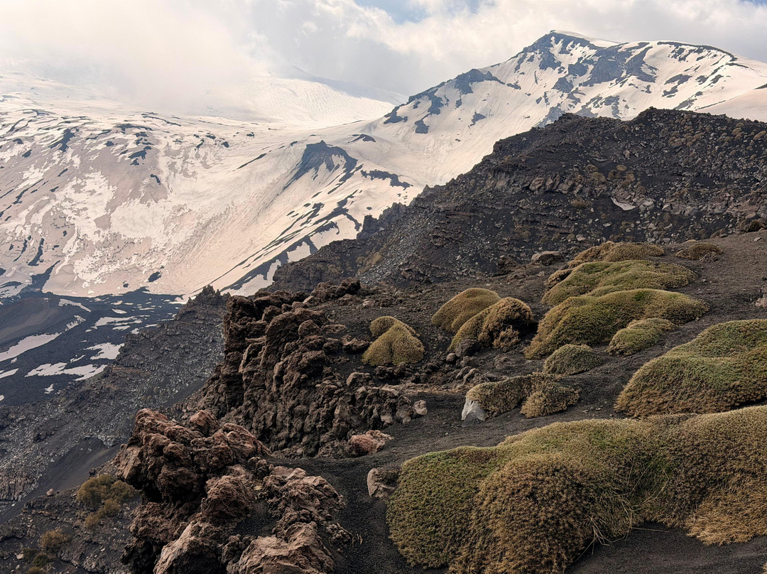 EtNative • Excursions Etna-Mascalucia必去景点