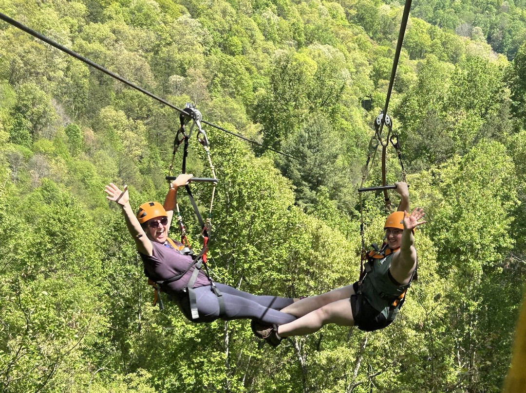 Navitat Canopy Adventures-Barnardsville必去景点
