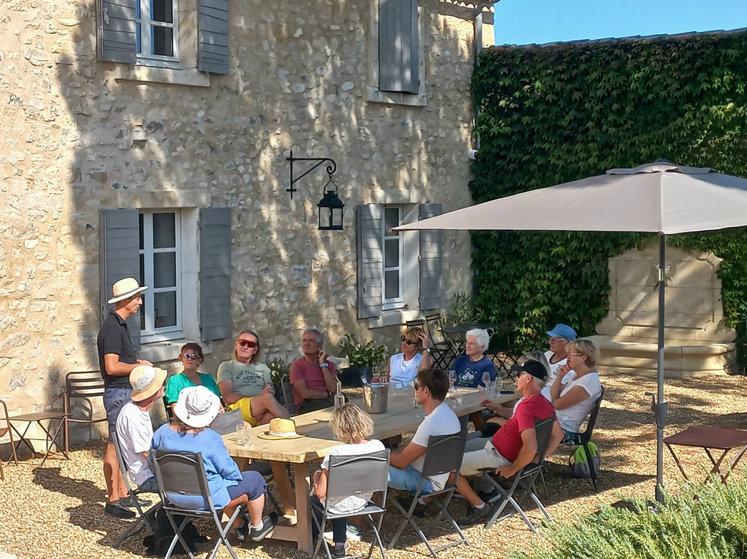 Domaine Du Chat Blanc