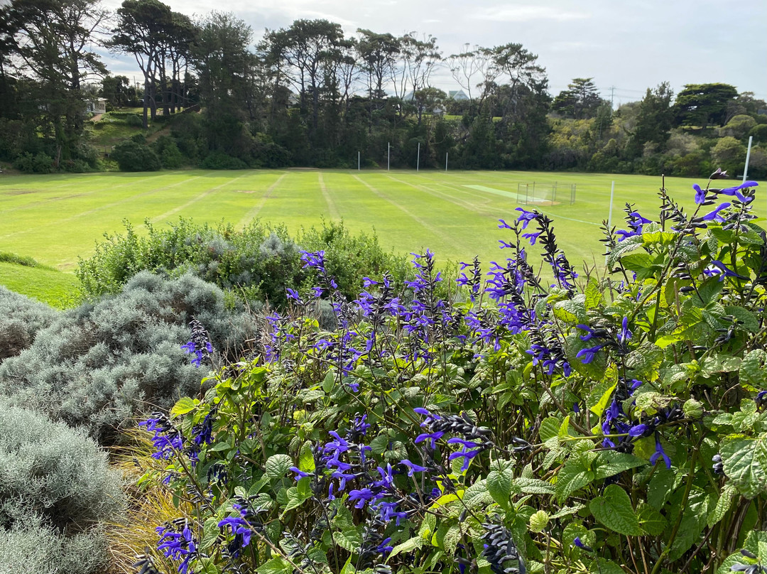 Percy Cerutty Oval (portsea Reserve)-波特西必去景点
