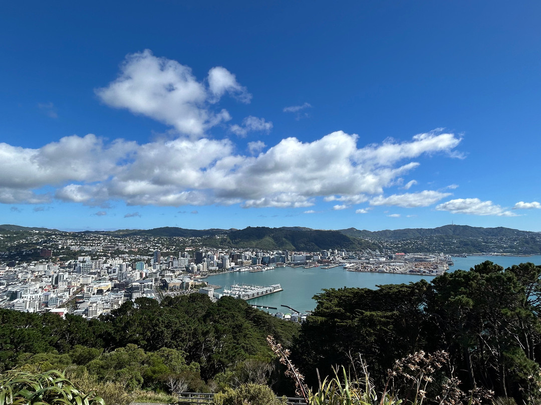 维多利亚山-惠灵顿必去景点