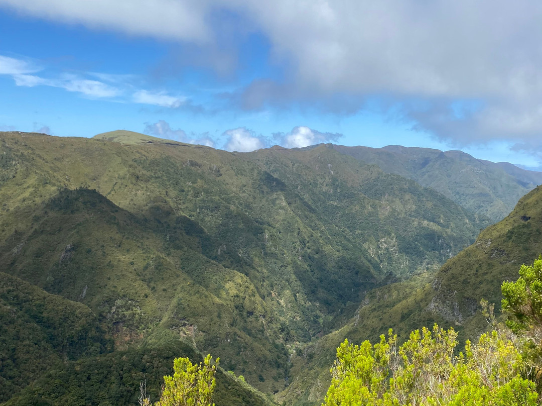 Madeira Wonder Hikes-沙尔必去景点
