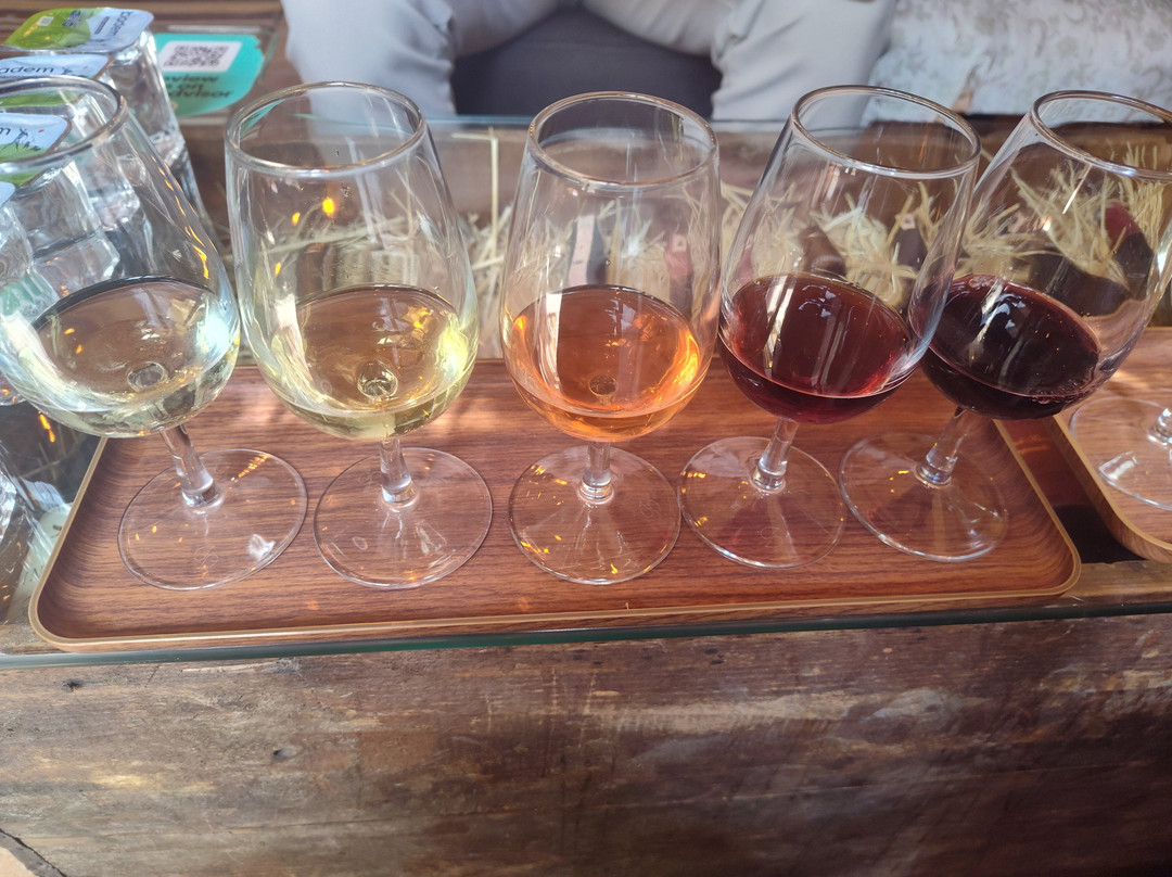 Vinodocia Wine & Art House-乌奇萨必去景点