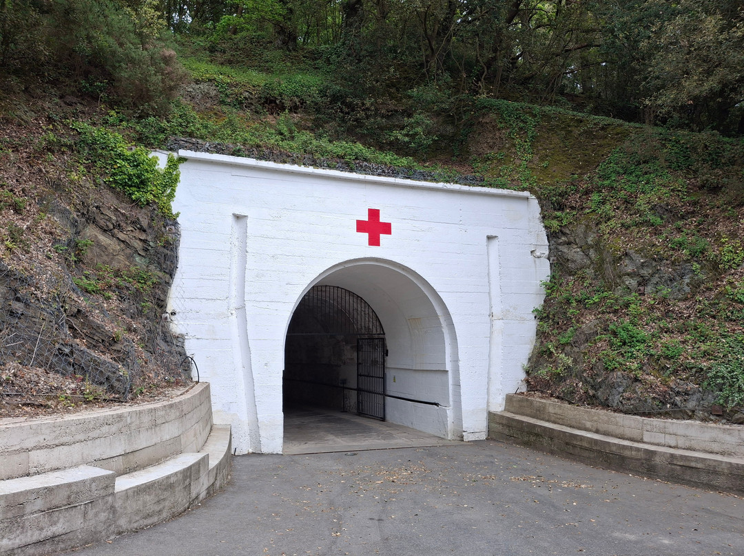 Jersey War Tunnels - German Underground Hospital-St. Lawrence必去景点