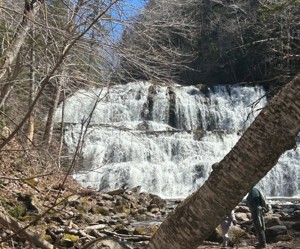 Egypt Falls-Margaree Harbour必去景点