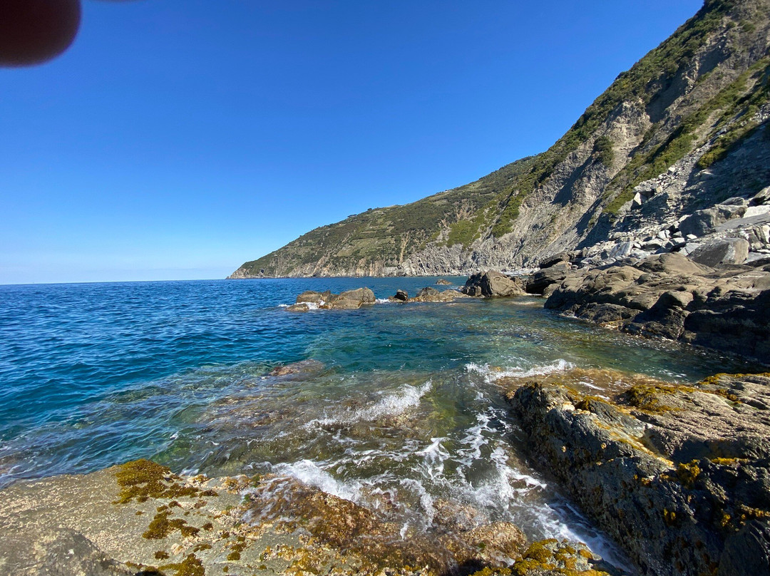 Punta Pineda