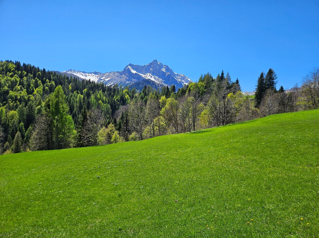 Sauris - Chiesa di San Lorenzo Martire-Sauris必去景点