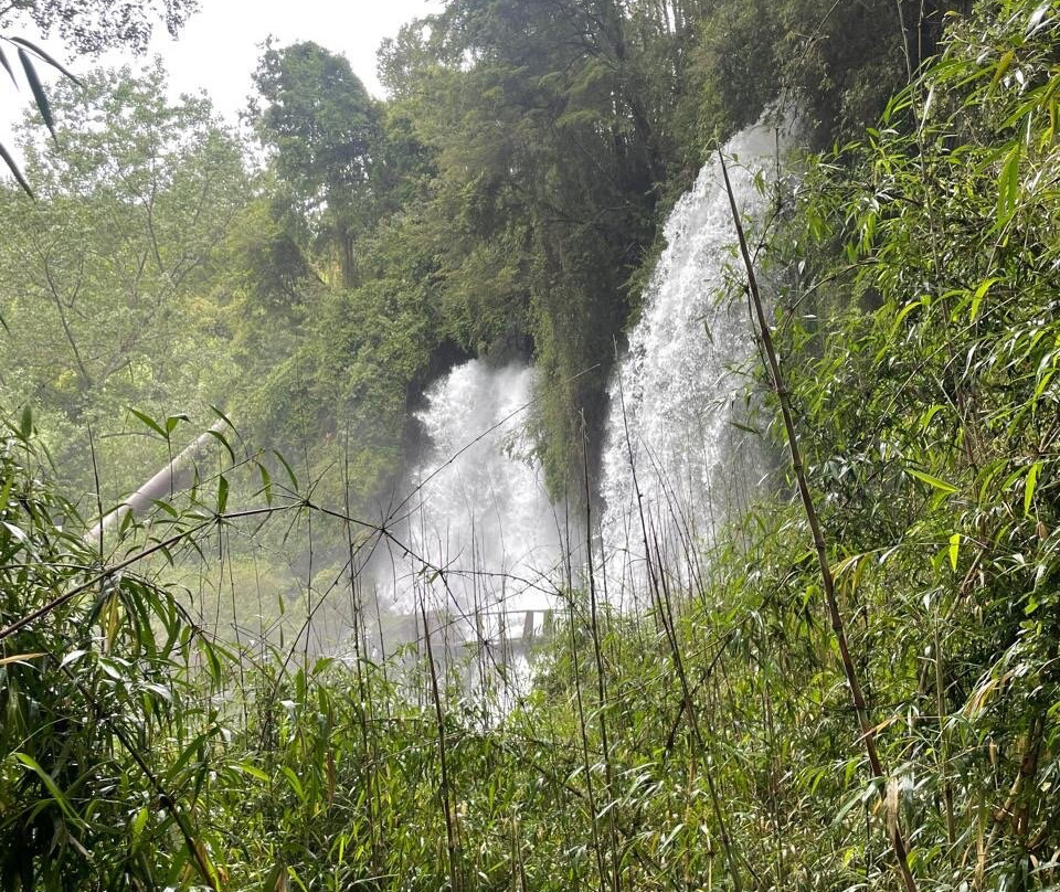 Huilo Huilo Reserva Biológica-Los Rios Region必去景点