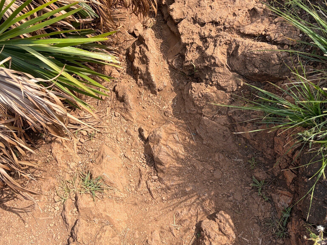 Riserva Naturale dello Zingaro-戈尔福海堡必去景点