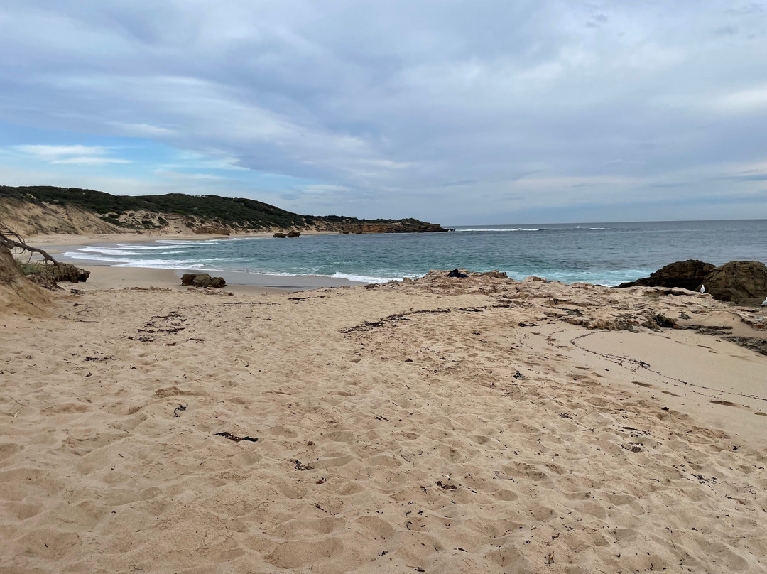 Koonya Beach-Blairgowrie必去景点