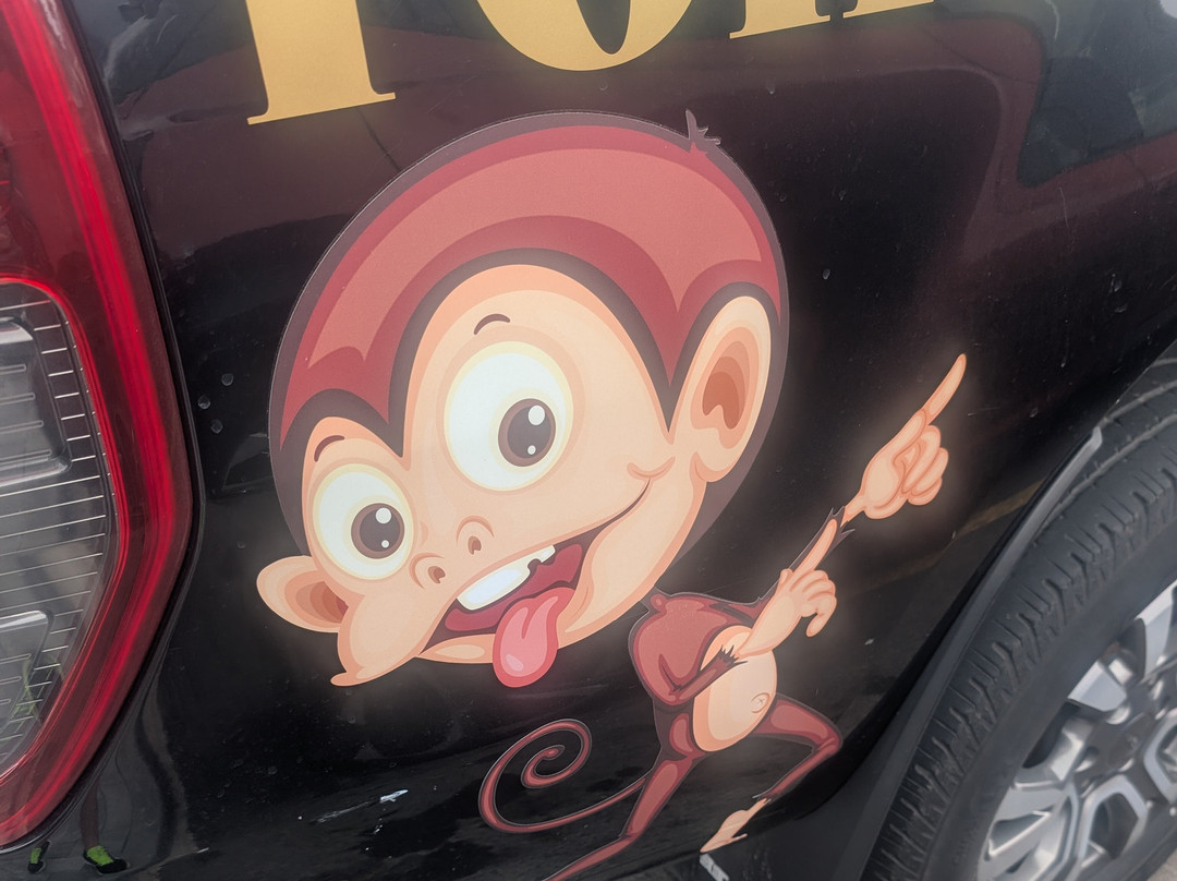 Cheeky Monkeys