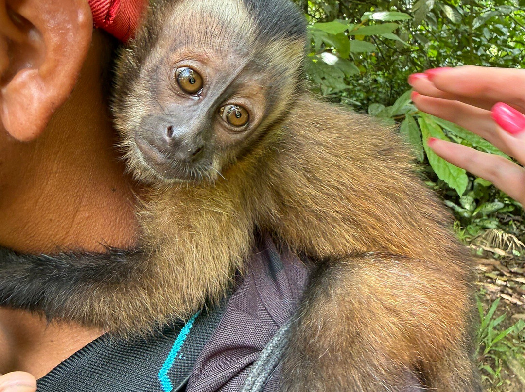 Amazon Fronteras Jungle Tours-莱蒂西亚必去景点