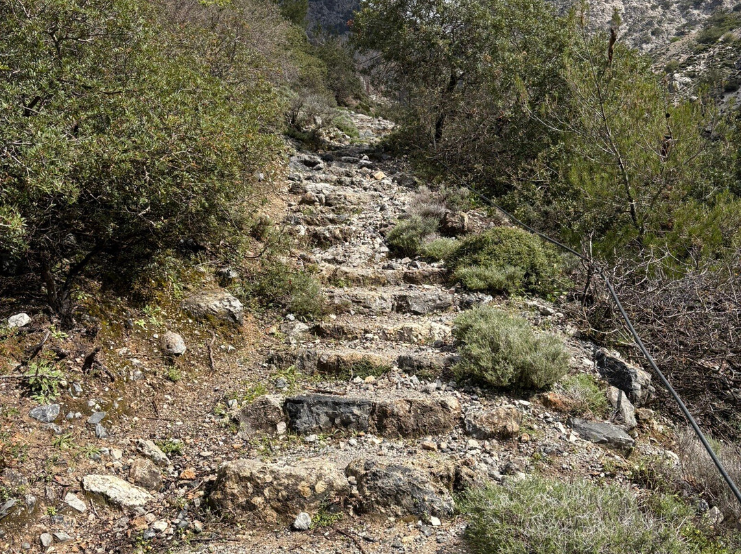 Rouvas Gorge (Agiou Nikolaou)-Zaros必去景点