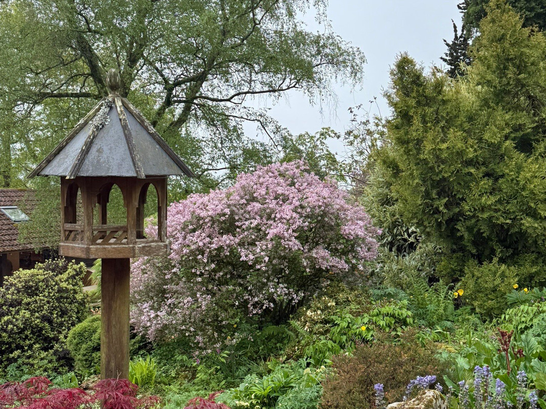 Burrow Farm Gardens-Dalwood必去景点