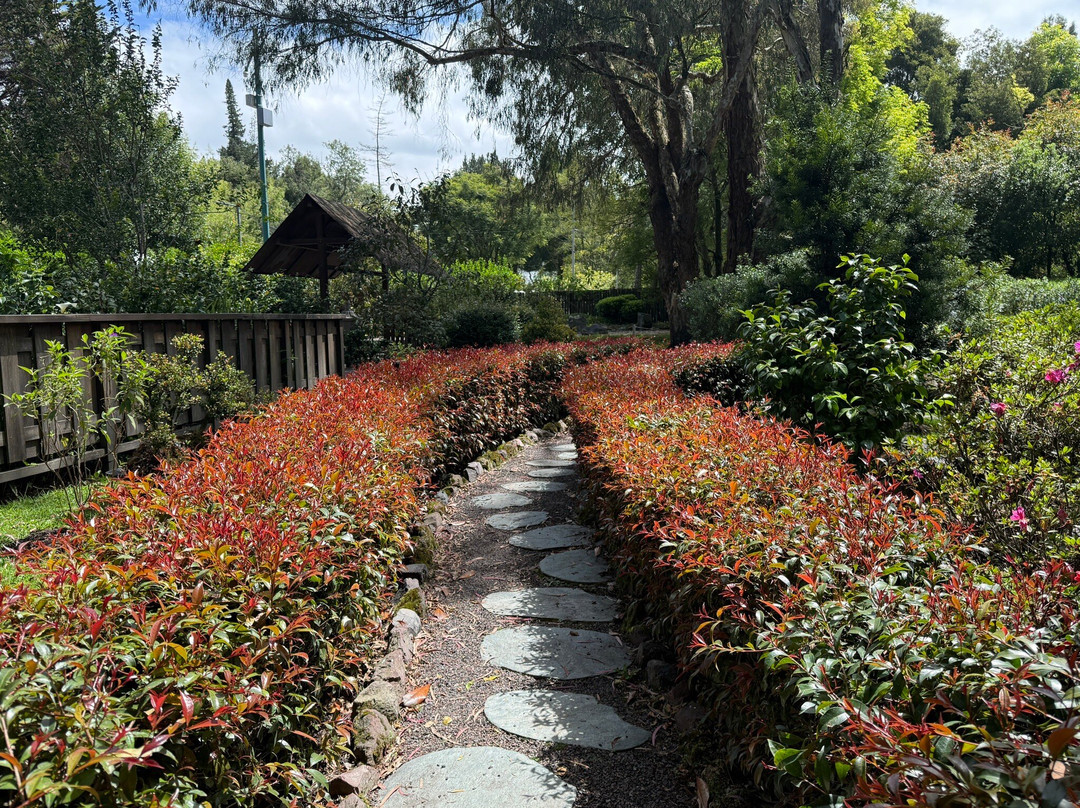 Jardín Botánico de Quito-基多必去景点