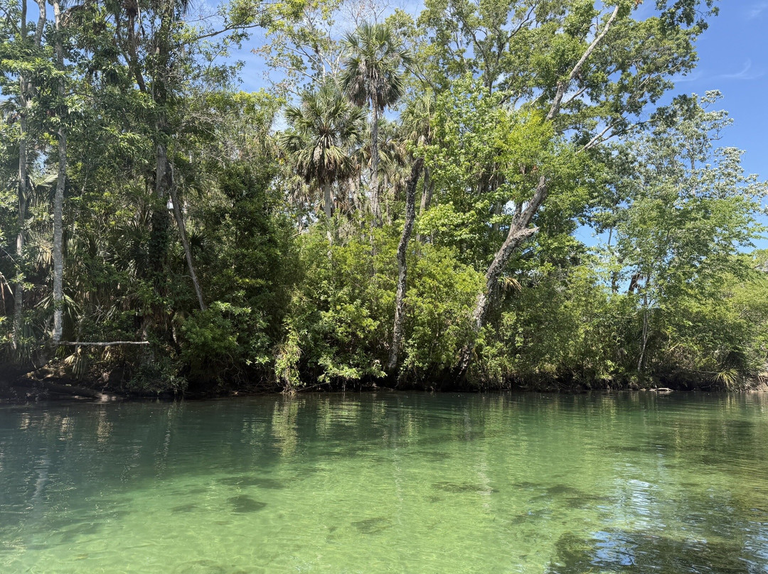Weeki Wachee Kayaking-Weeki Wachee必去景点