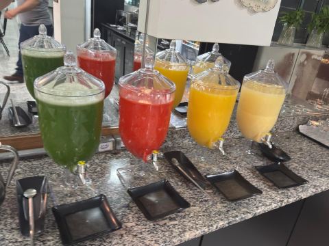 弗罗儿米纳斯酒店-餐饮