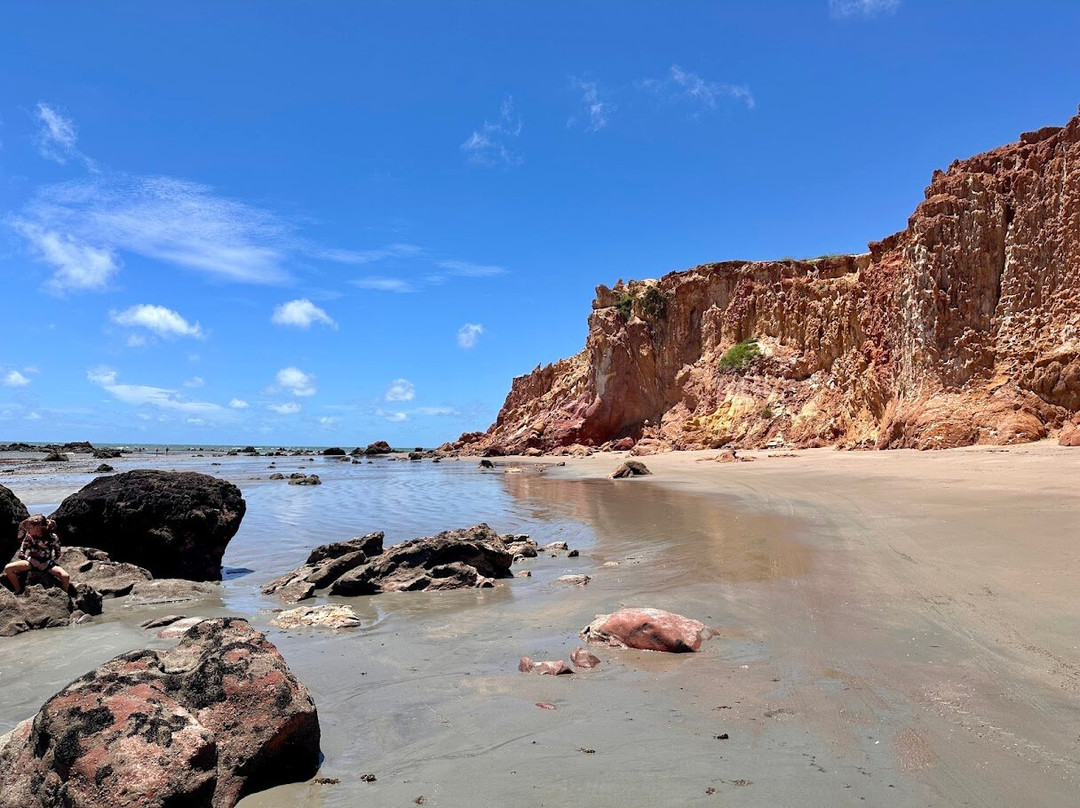 Praia De Ponta Grossa-Icapui必去景点