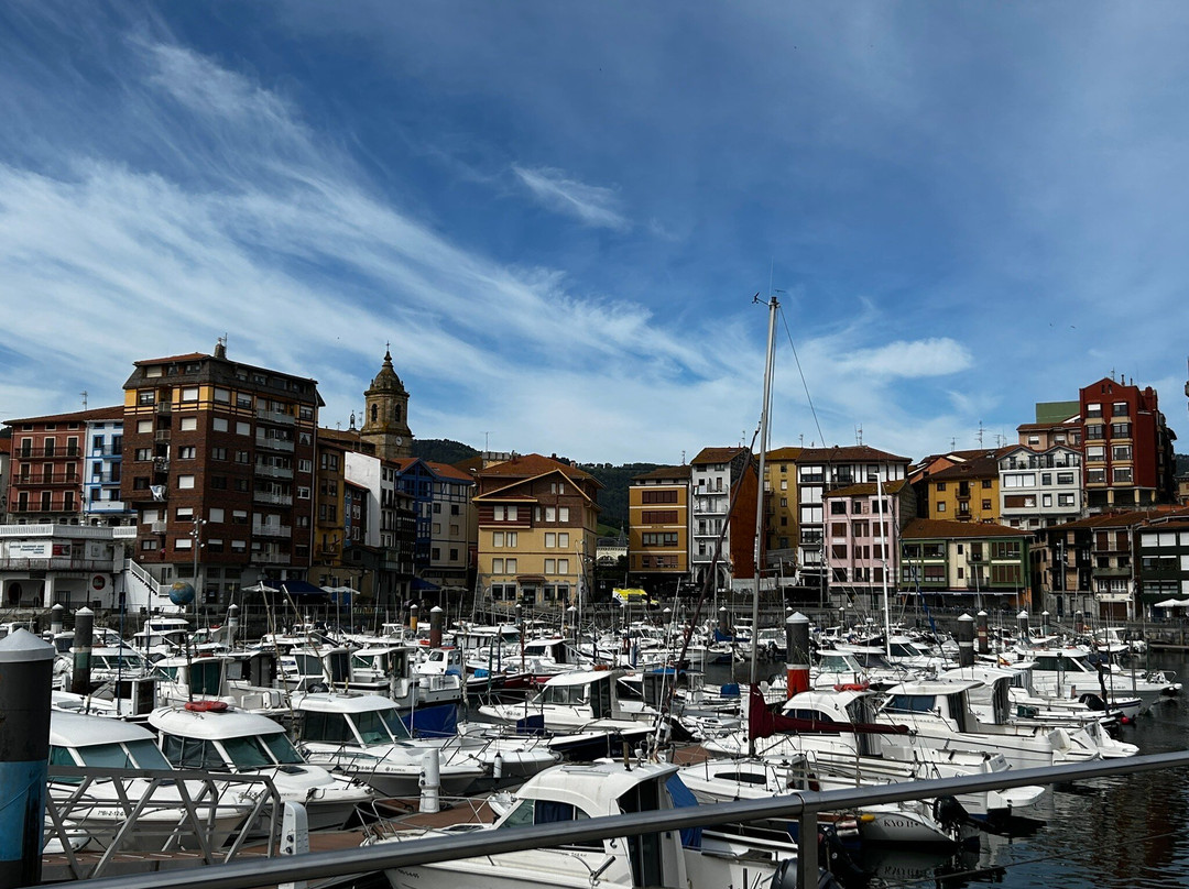 ToursByBasques Private Guided Tours-毕尔巴鄂必去景点