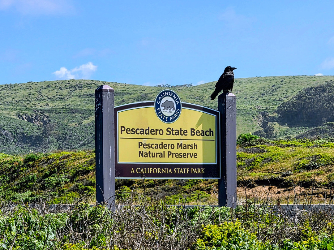 Pescadero State Beach-半月湾必去景点