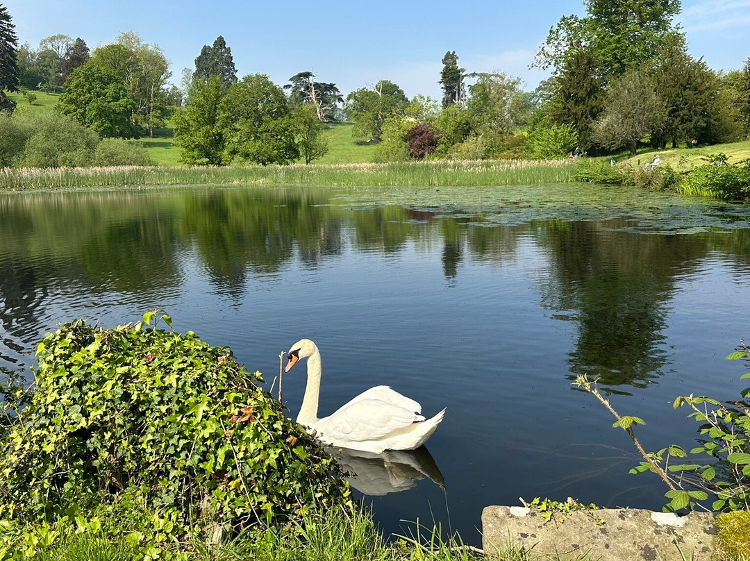Warner Hotels - Holme Lacy House主图