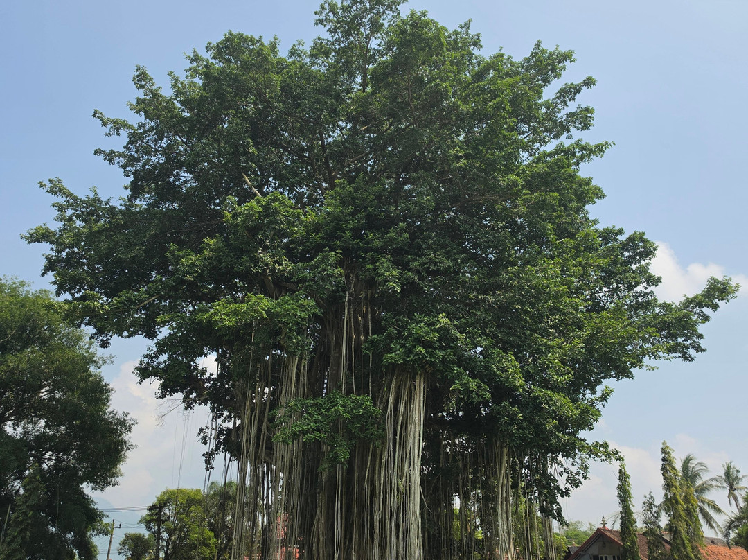 Mendut Buddhist Monastery-Mungkid必去景点