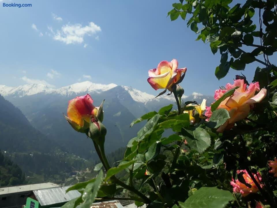 Mountain view guesthouse