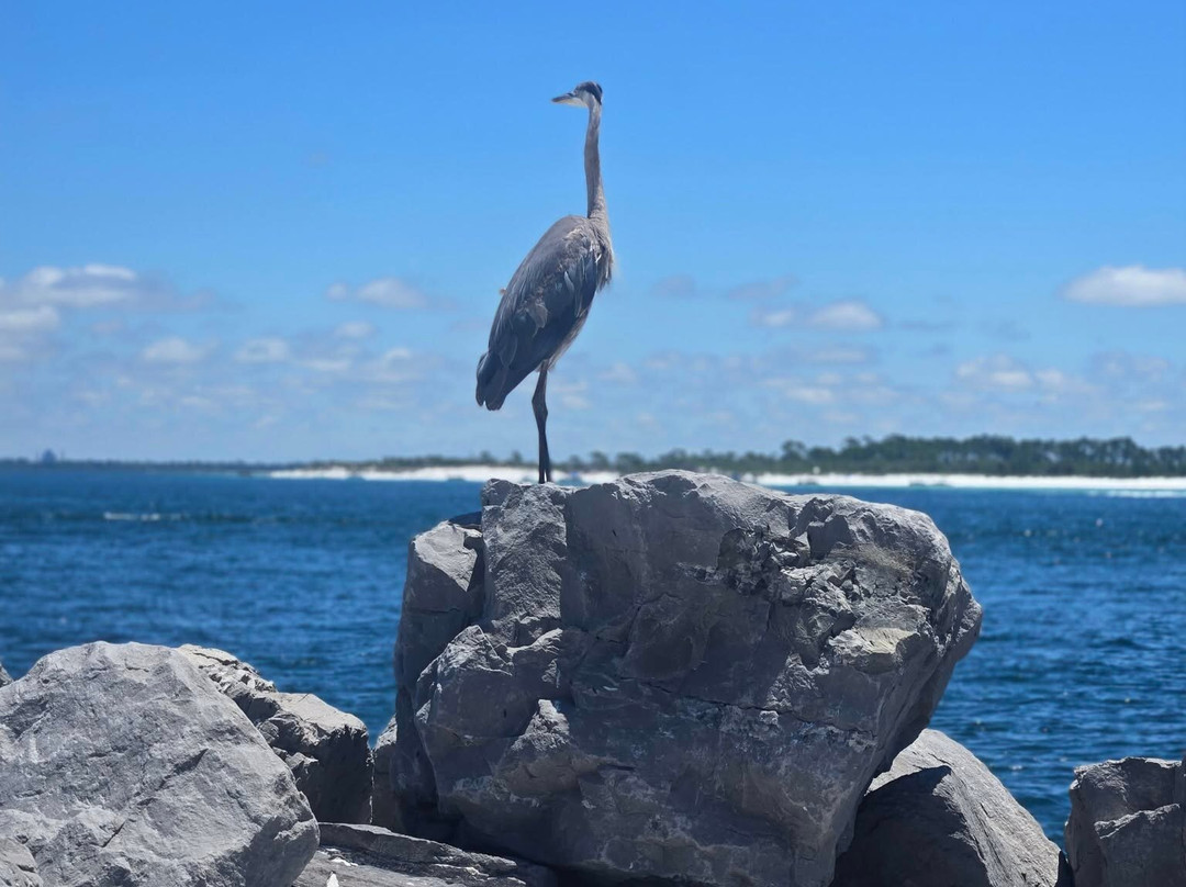 St. Andrews State Park-巴拿马城海滩必去景点