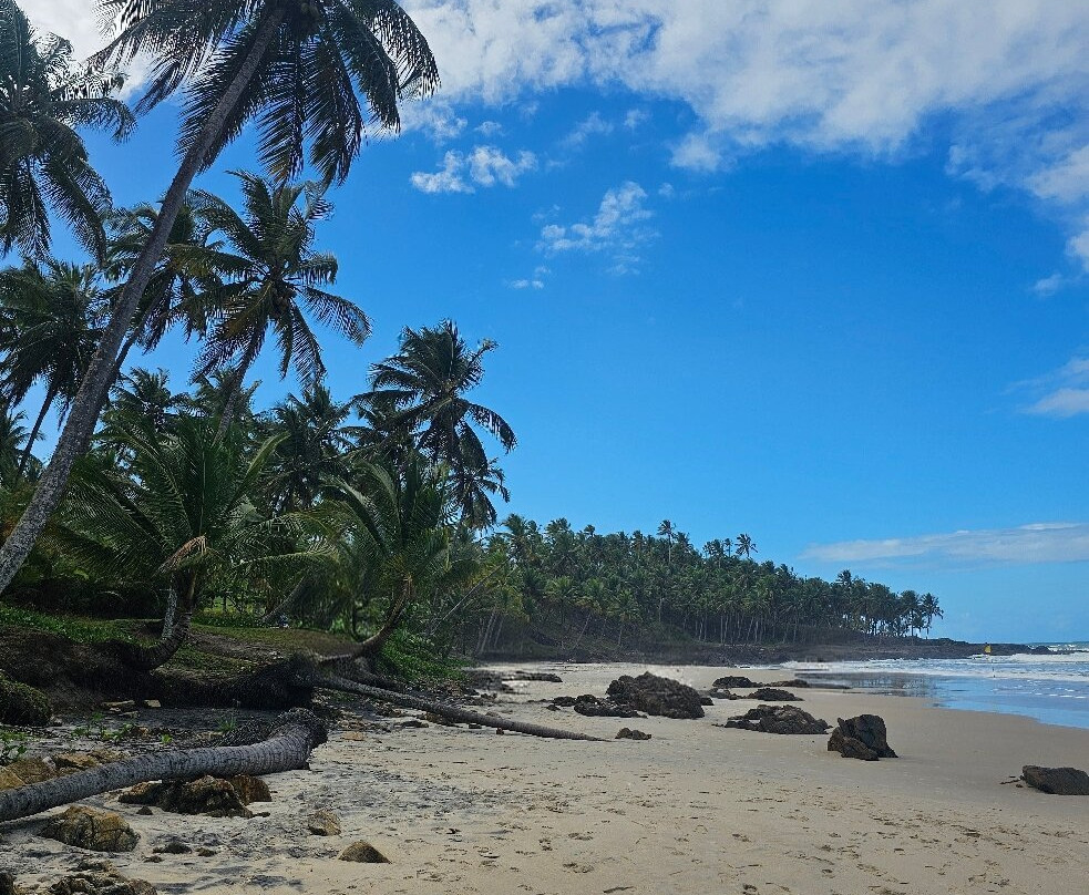 Jeribucacu Beach-Itacare必去景点