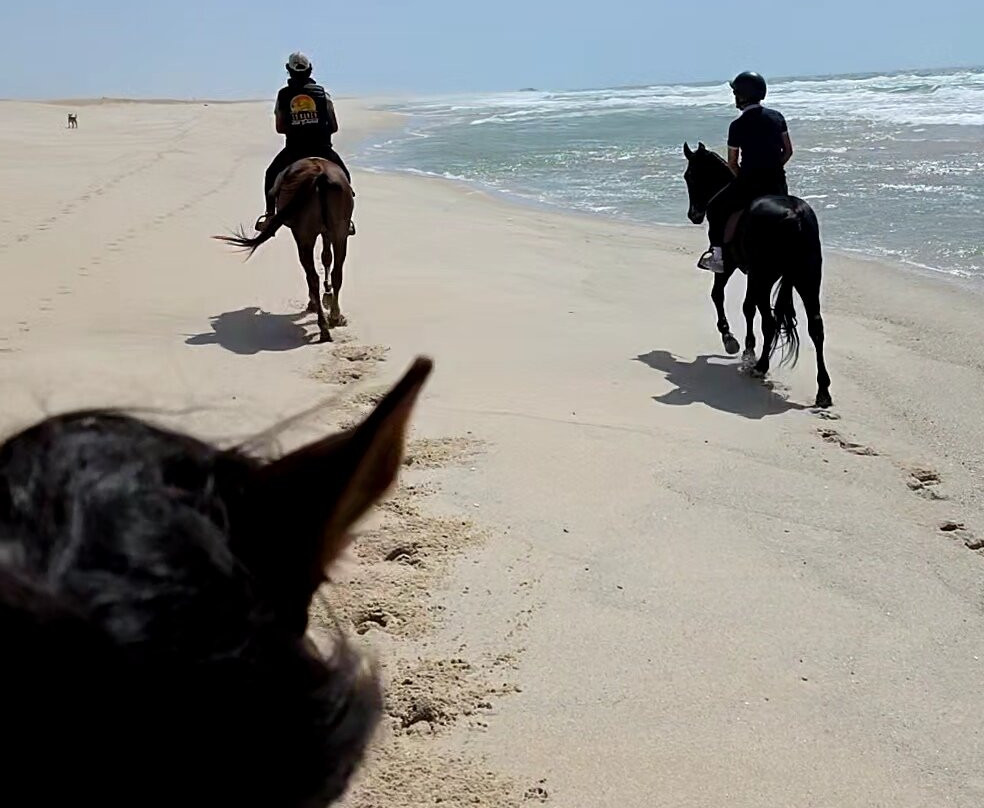 Ranch Des Dunes-达赫拉必去景点
