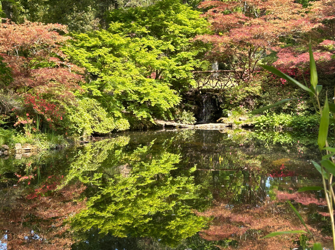 埃克斯伯里花园和蒸汽铁路-Exbury必去景点
