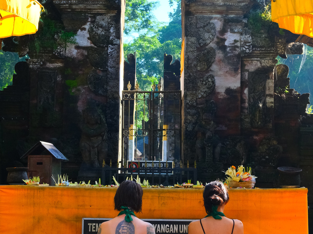 Bali Life Tours-乌布必去景点