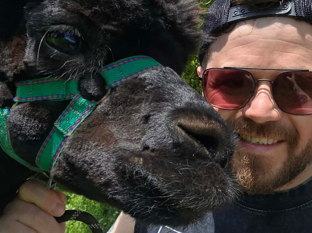 Charnwood Forest Alpacas-Boundary必去景点