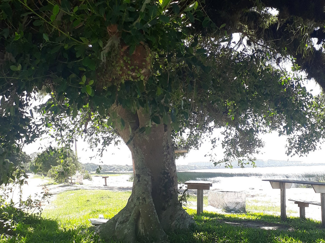 Balneário Pinvest-Tapes必去景点