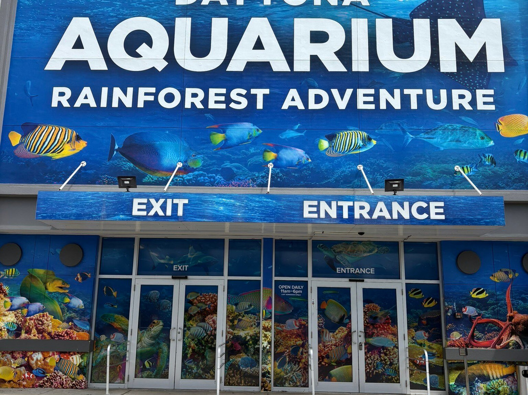 Daytona Aquarium & Rainforest Adventure-代托纳比奇必去景点