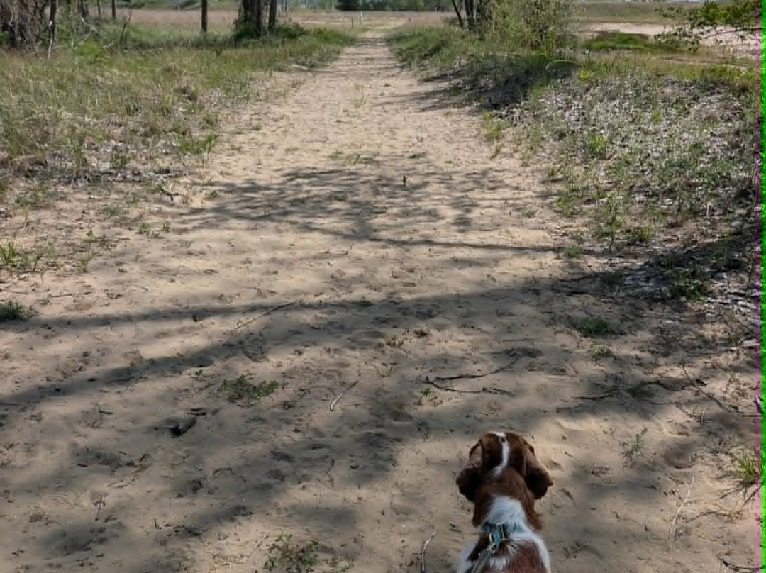 Ottawa Sands County Park-Ferrysburg必去景点