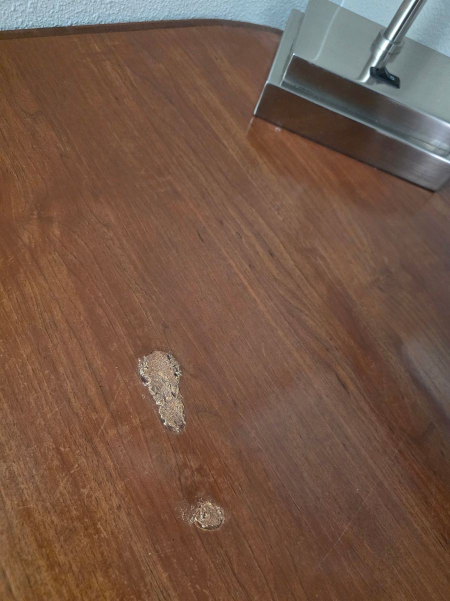 切萨皮克凯悦嘉轩酒店-旅行者