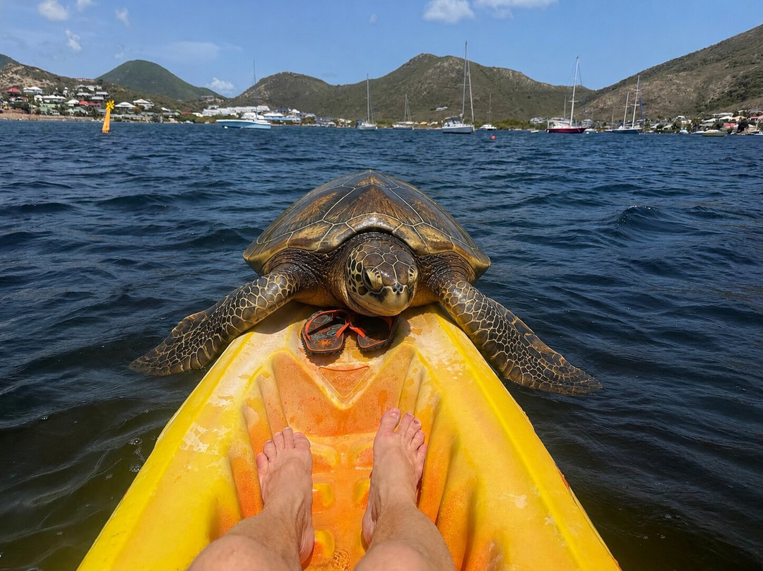 Caribbean Paddling-Cul de Sac必去景点