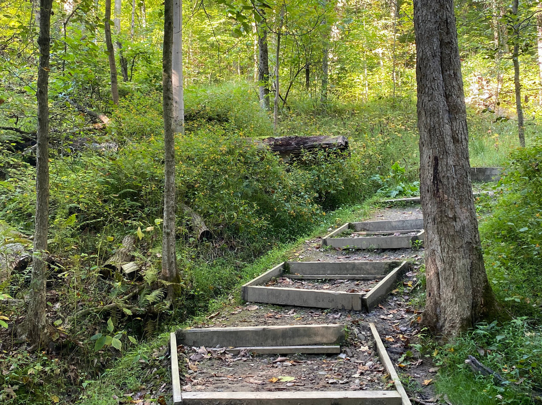 Brandywine Falls-Sagamore Hills必去景点