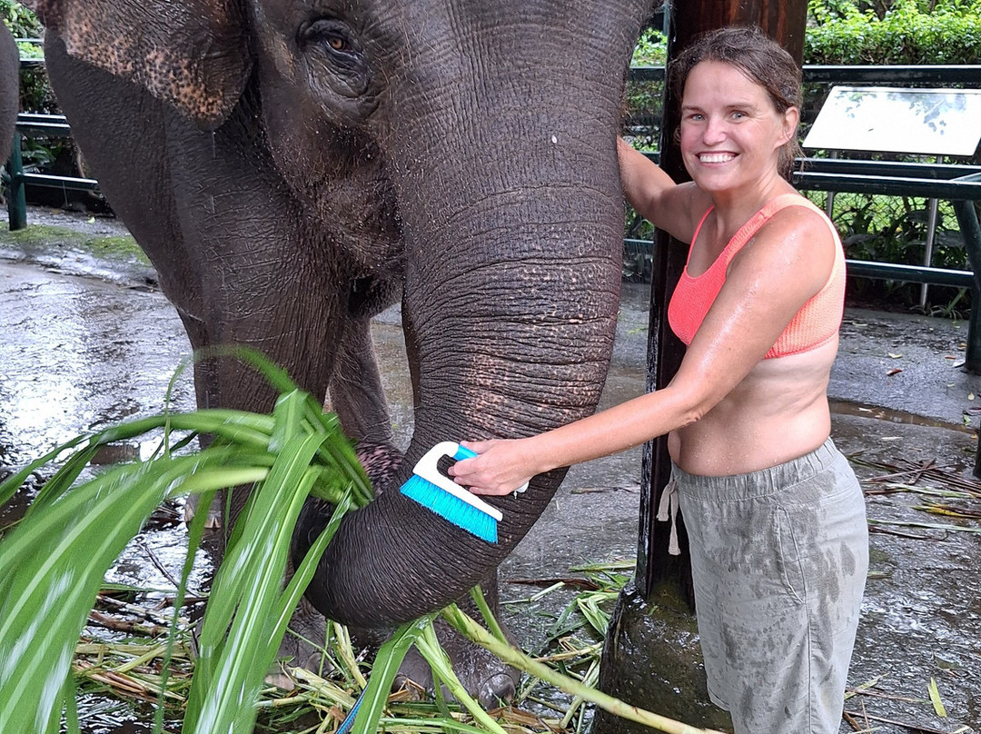 Bali Elephant Park-登巴萨必去景点